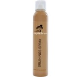 Airbrush Tanning Spray