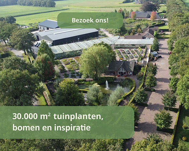 Bezoek